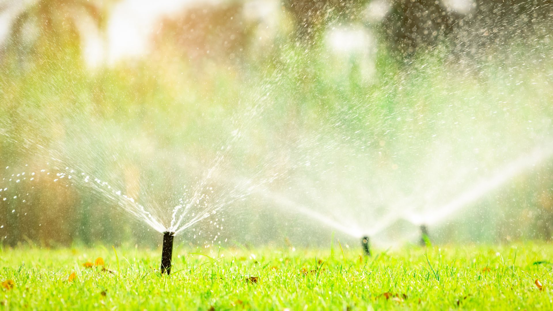 Automatic Lawn Sprinkler